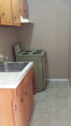 Travellers Rest Motel Salmon Arm Eksteriør bilde